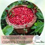 К чему снится ягода земляника: толкование по сонникам